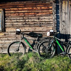 Mit dem Mountainbike auf die Alm