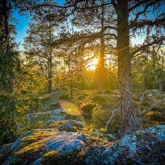 Wanderung von der Haustür aus zum nahegelegenen Gråhögen